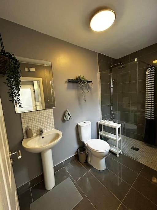 Vibrant City Centre Townhouse With Free Parking Rare Outdoor Patio Белфаст Экстерьер фото